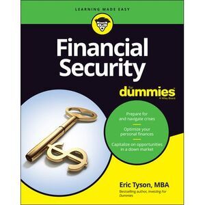 Financial Security for Dummies -- Eric Tyson